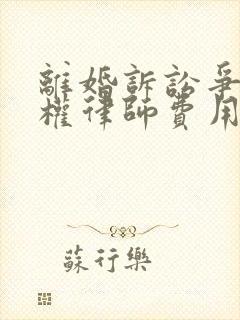 离婚诉讼争抚养权律师费用封面