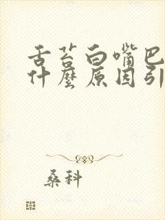 舌苔白嘴巴苦是什么原因引起的