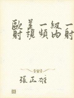 欧美一级一片内射视频内射在线免费观看