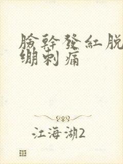 脸干发红脱皮紧绷刺痛