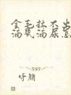 金毛拉不出屎总滴几滴尿怎么办