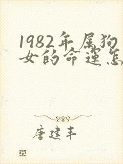 1982年属狗女的命运怎么样