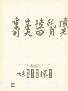 重生后我顶替了前夫白月光小说