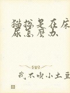 猫总是在床上拉尿怎么办封面