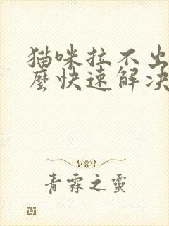 猫咪拉不出尿怎么快速解决封面