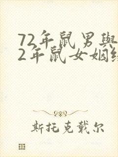 72年鼠男与72年鼠女姻缘好吗