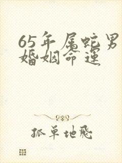 65年属蛇男人婚姻命运