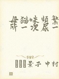 母猫咪频繁上厕所一次尿一点咋回事