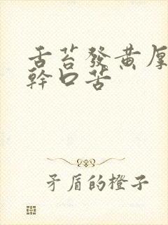 舌苔发黄厚腻口干口苦