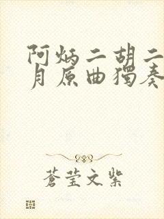 阿炳二胡二泉映月原曲独奏