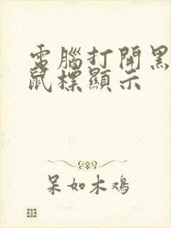 电脑打开黑屏有鼠标显示