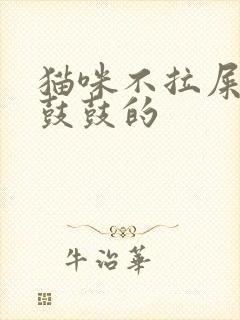 猫咪不拉屎肚子鼓鼓的