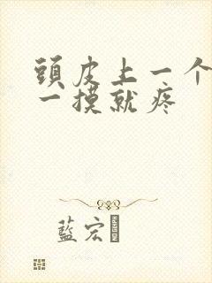 头皮上一个疙瘩一摸就疼