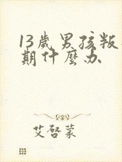 13岁男孩叛逆期什么办