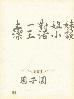 上一对姐妹花李洁王浩小说免费阅读