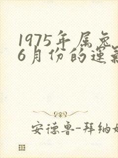 1975年属兔6月份的运气怎么样封面