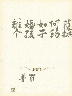 离婚如何获得两个孩子的抚养权