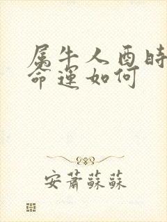 属牛人酉时出生命运如何