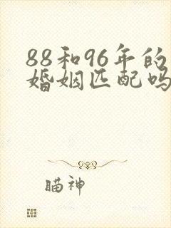 88和96年的婚姻匹配吗封面