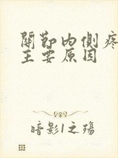 关节内侧疼痛的主要原因