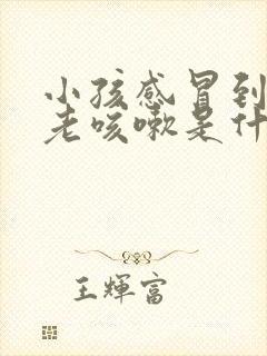 小孩感冒到半夜老咳嗽是什么原因