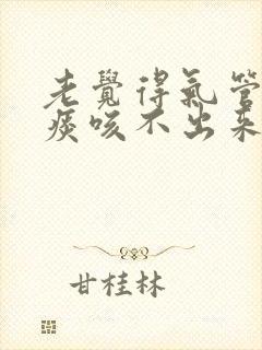 老觉得气管里有痰咳不出来封面