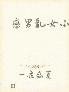恋男乱女小说