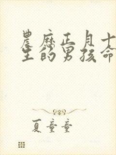 农历正月十五出生的男孩命运封面