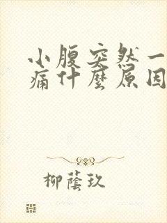 小腹突然一阵刺痛什么原因