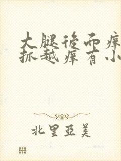 大腿后面痒痒越抓越痒有小红疙瘩