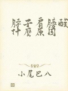 脖子肩膀酸痛是什么原因