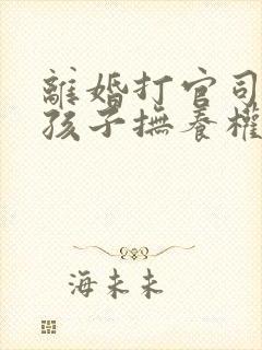 离婚打官司争夺孩子抚养权