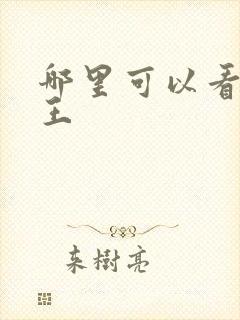 哪里可以看海贼王封面