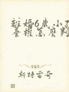 离婚6岁小孩抚养权怎么判定