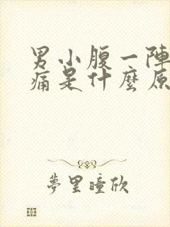 男小腹一阵一阵痛是什么原因