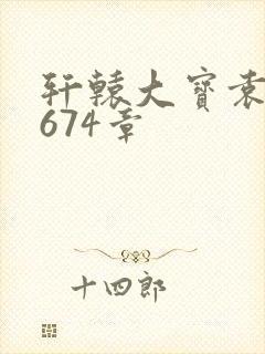 轩辕大宝袁雪妃674章