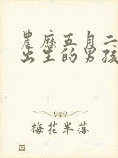 农历五月二十五出生的男孩命运好吗