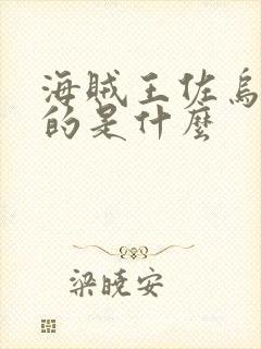 海贼王佐乌篇讲的是什么