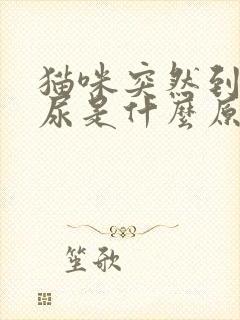 猫咪突然到处乱尿是什么原因