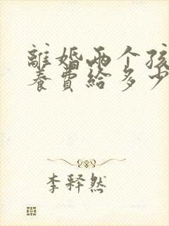 离婚两个孩子抚养费给多少