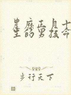 农历正月十五出生的男孩命运