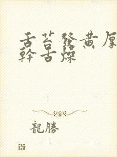 舌苔发黄厚腻口干舌燥