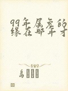 99年属兔的姻缘在哪年才会成功