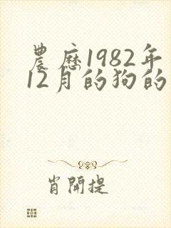 农历1982年12月的狗的命运