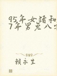 95年女猪和87年男兔八字合吗封面