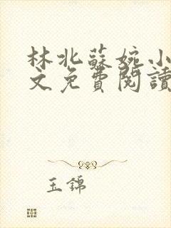 林北苏婉小说全文免费阅读最新章节