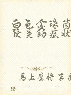 白色念珠菌阴道发炎的症状