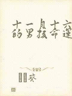 十一月十六出生的男孩命运