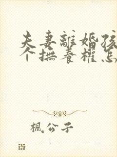 夫妻离婚孩子两个抚养权怎么判定