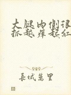 大腿内侧很痒越抓越痒起红色疹子封面